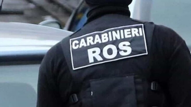 Immagine