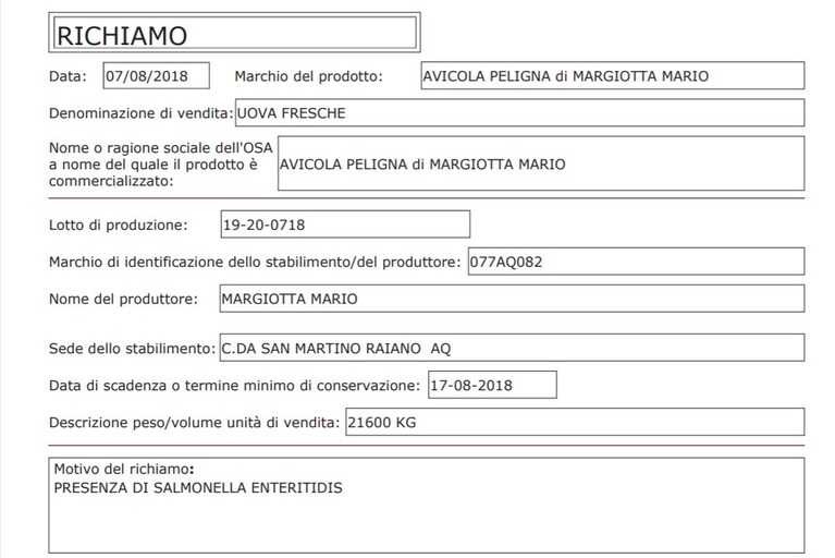 Immagine