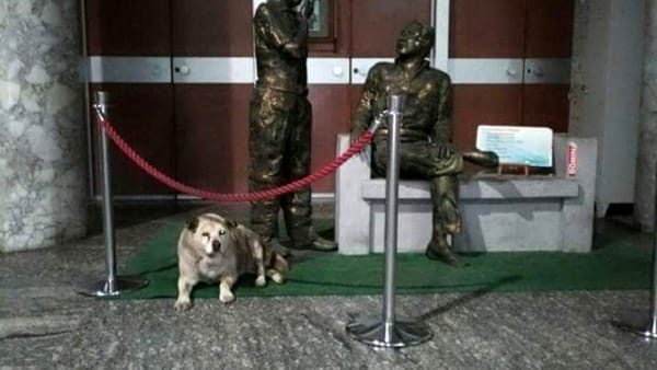 Palermo. Addio Uccio: è morto il cane che vegliava le statue di Falcone e Borsellino