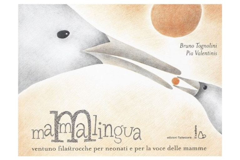Immagine