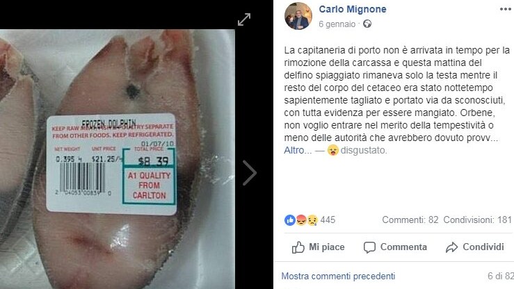 Immagine