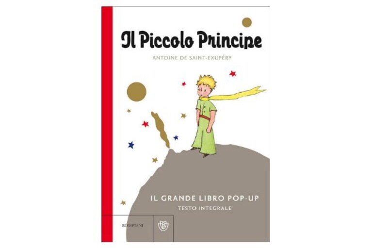 Immagine