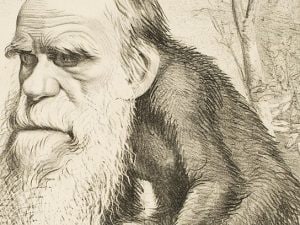 Una delle caricature di Charles Darwin più famose: lo scienziato venne raffigurato con il corpo di una scimmia.
