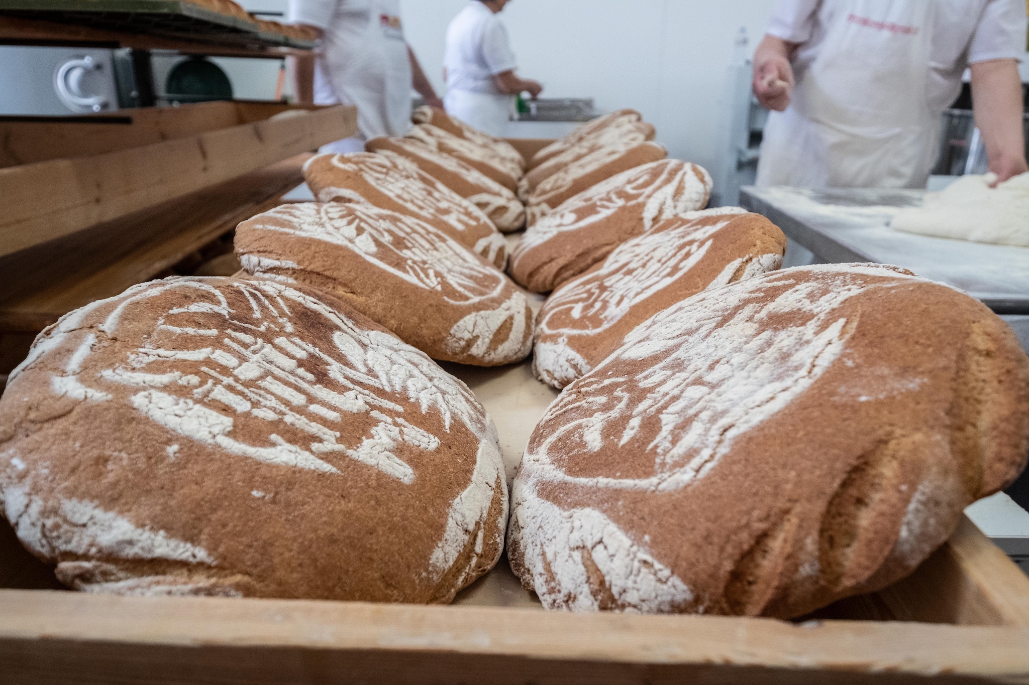 Pane quotidiano