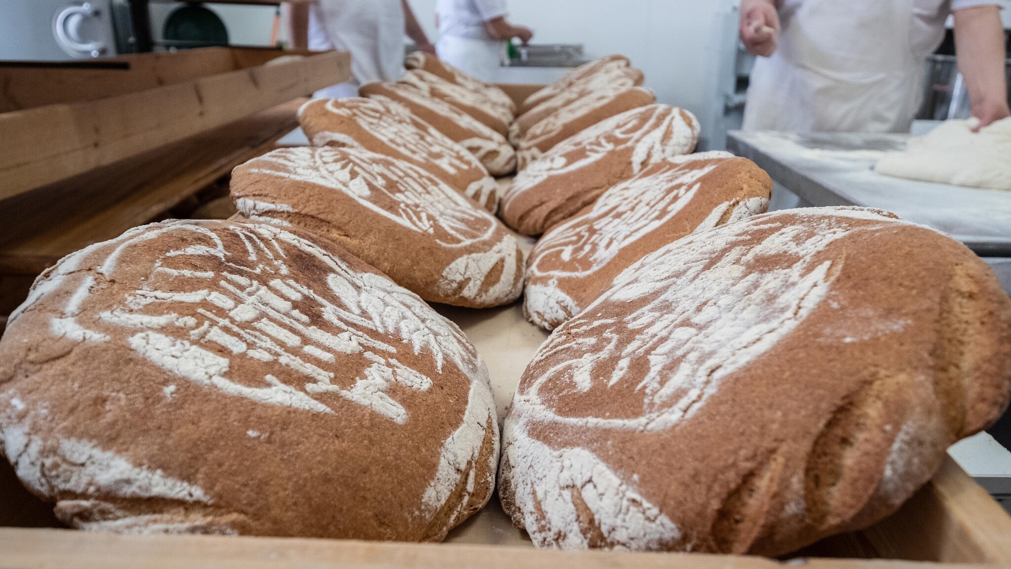 Pane quotidiano