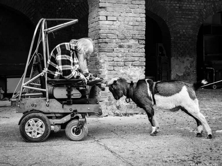 Immagine