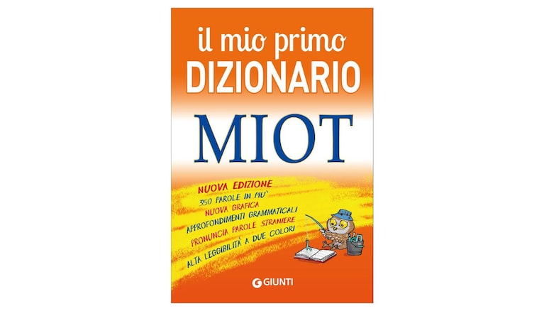 Immagine
