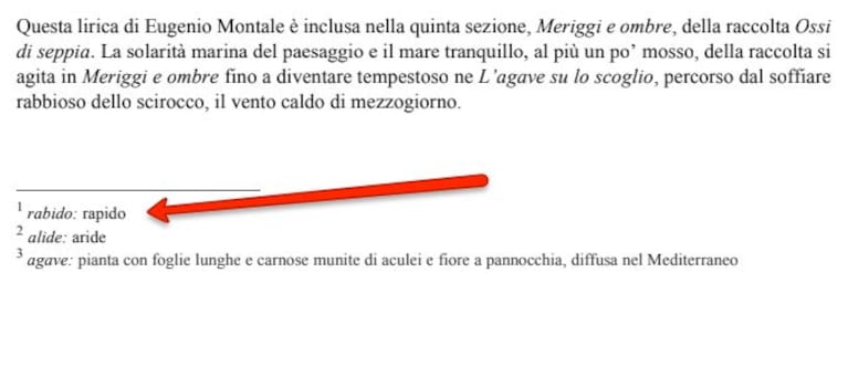 Immagine