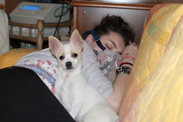 Immagine