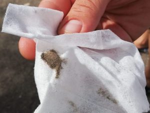 Diossina trovata su una mensola della scuola a Taranto.