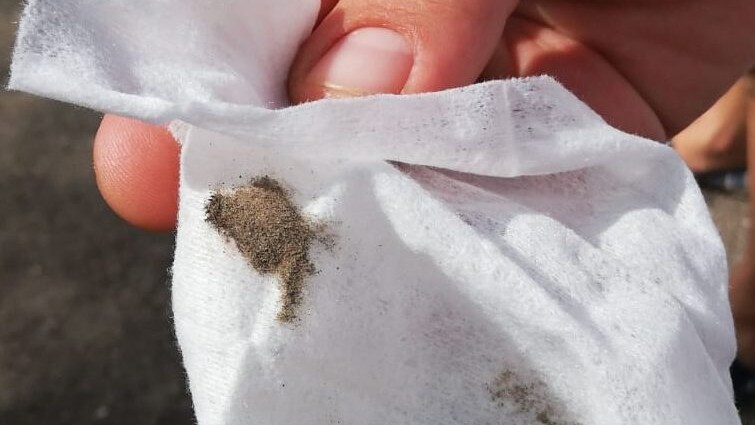 Diossina trovata su una mensola della scuola a Taranto.