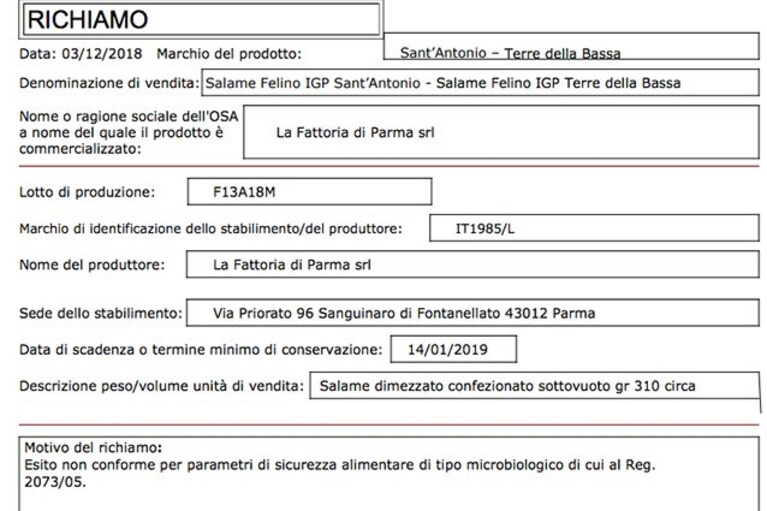Immagine
