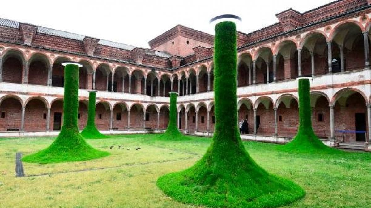 Immagine