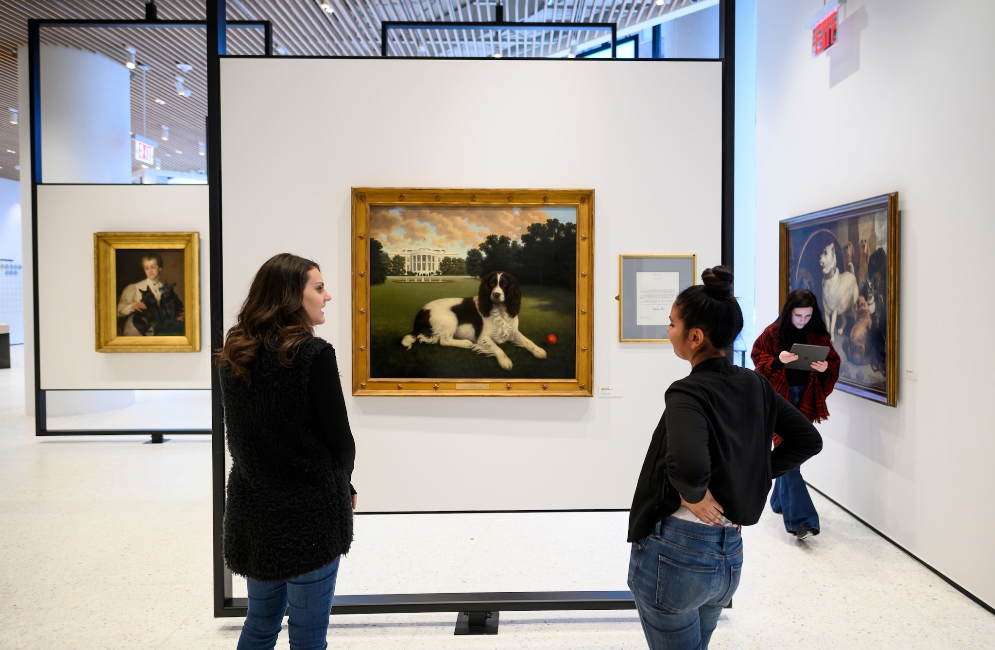 muzing_app_tinder_musei