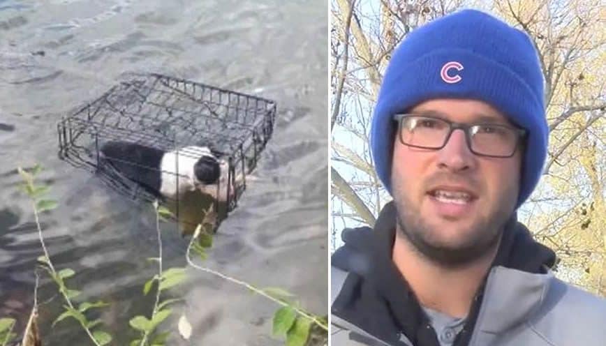 Chiusa in gabbia e gettata nel lago ghiacciato, insegnante si tuffa e ...