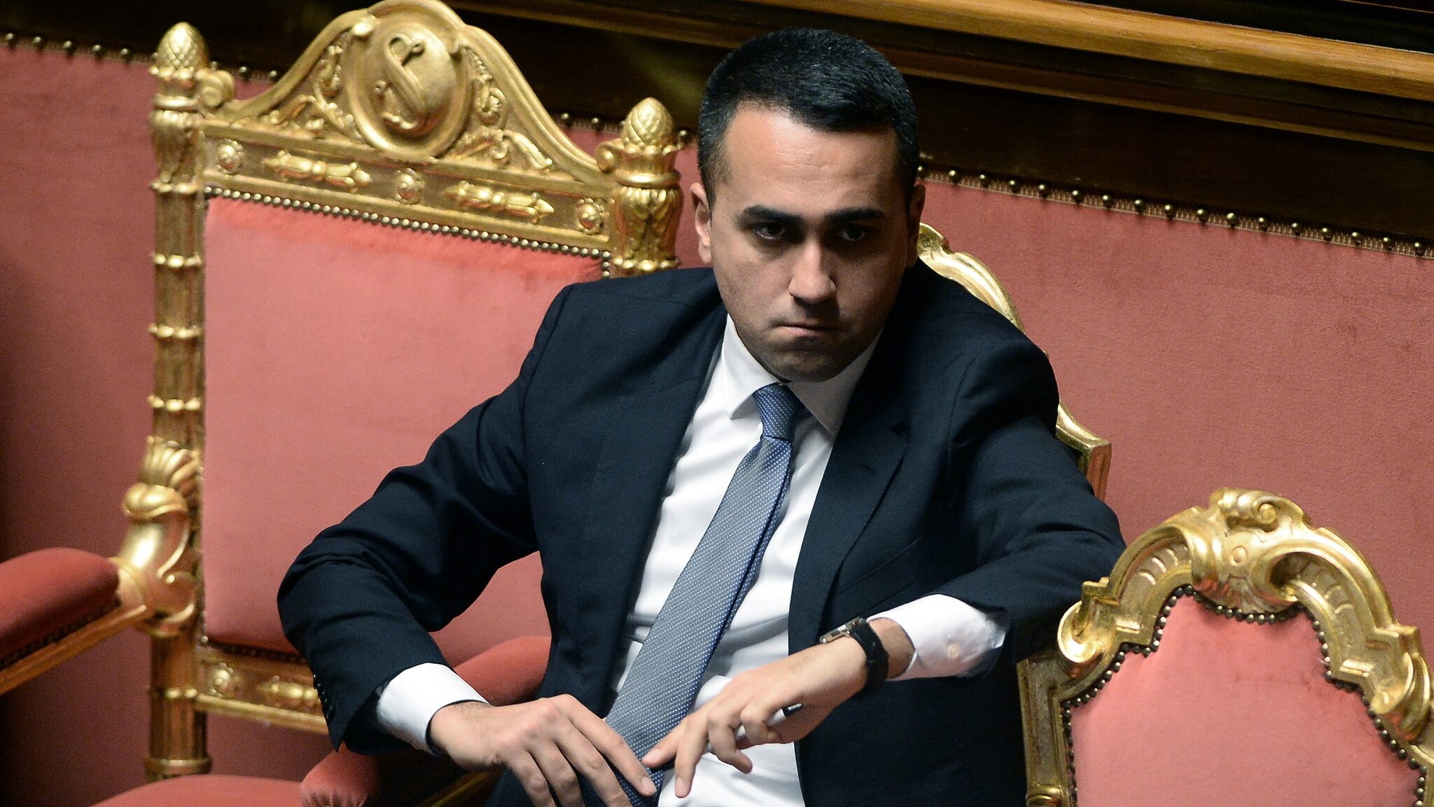 Immagine