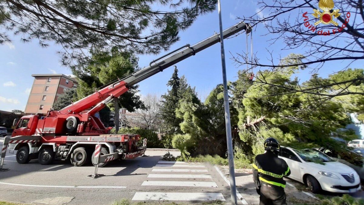 Interventi dei vigili del fuoco per il forte vento