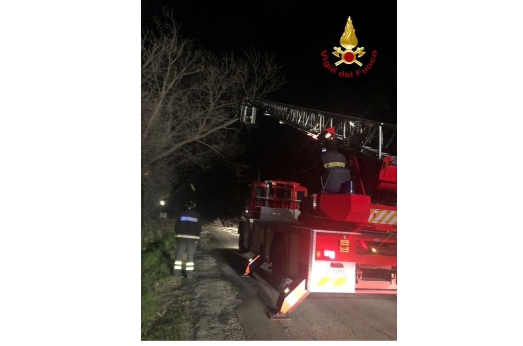 Civitanova Marche, albero cade su un'auto a causa del vento e provoca un incidente stradale