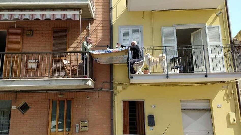 Immagine
