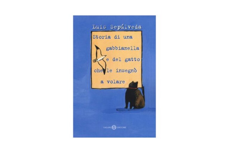 Immagine
