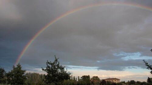 Immagine