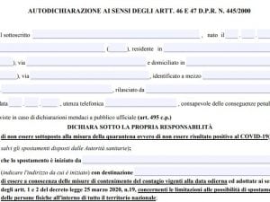 non scarica pdf