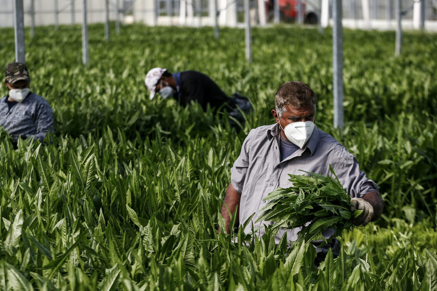 Decreto Flussi 2027, più di 165mila lavoratori stranieri in Italia: date del click day e come fare richiesta