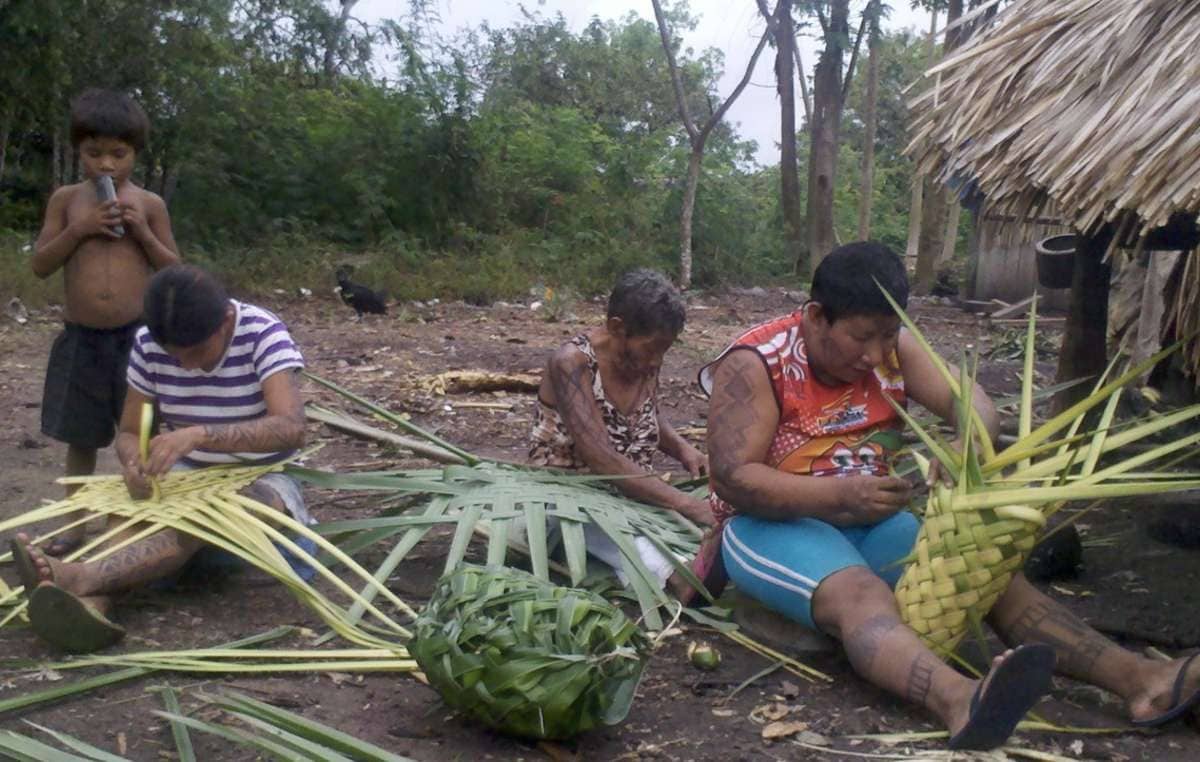 Foto Survival