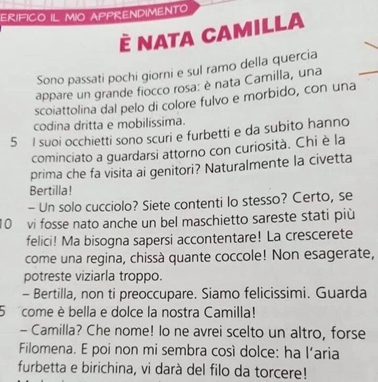 Immagine