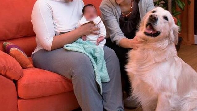 Immagine