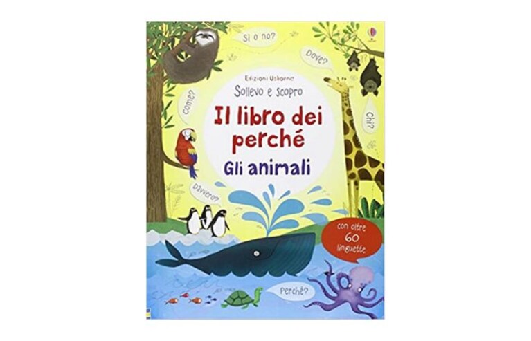 Immagine
