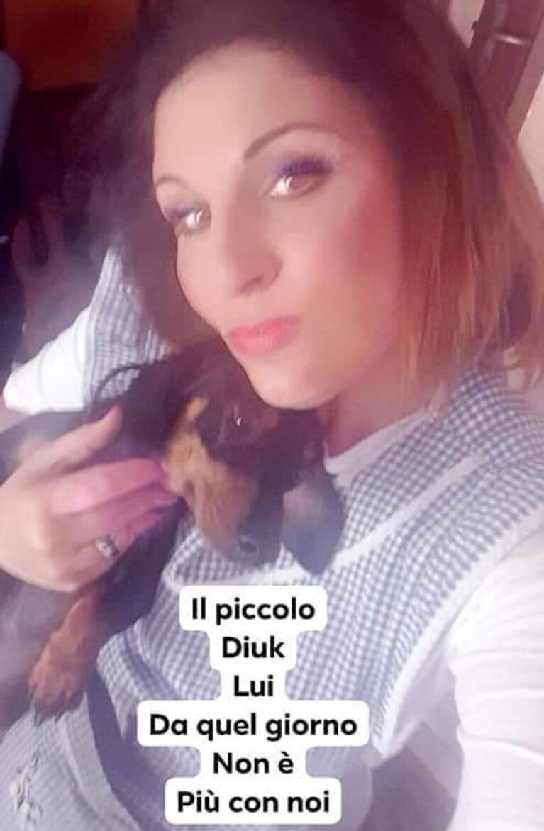 Immagine