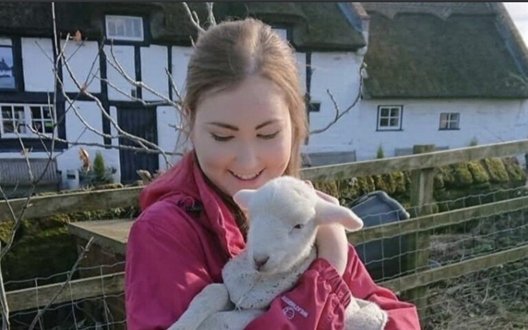 Immagine