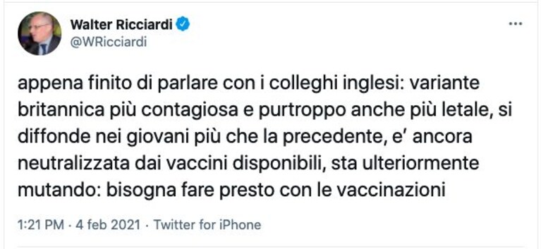 Immagine