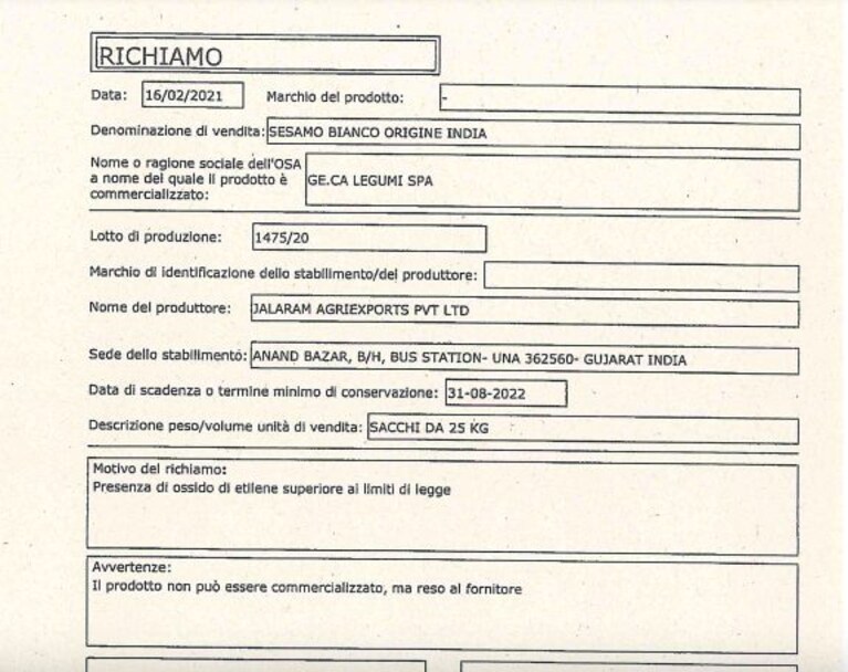 Immagine