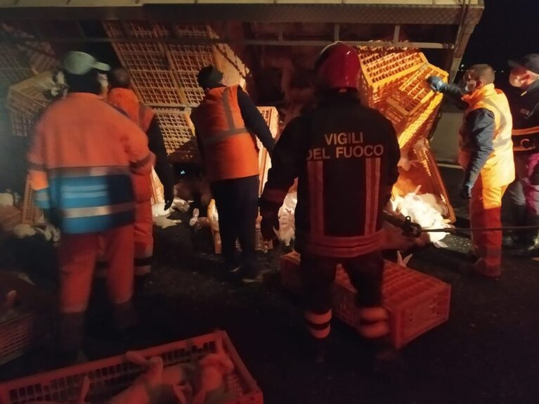 Immagine dai Vigili del Fuoco.