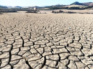 Come si presenta oggi il lago Sciaguana, in provincia di Enna