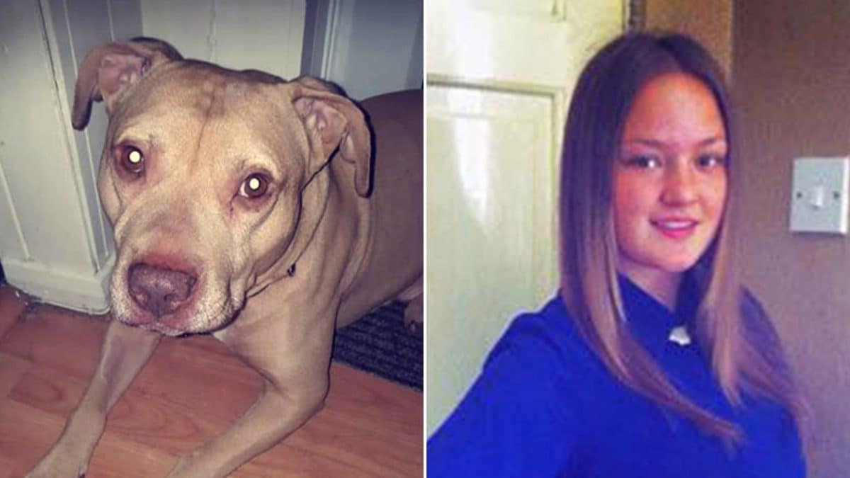 Gucci (il cane dell’aggressione) e Keira