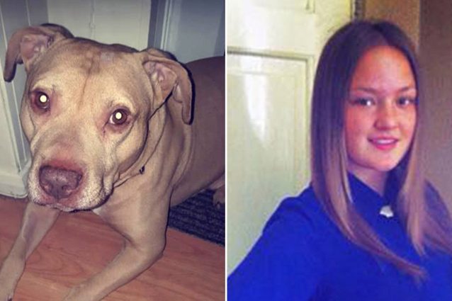 Gucci (il cane dell’aggressione) e Keira