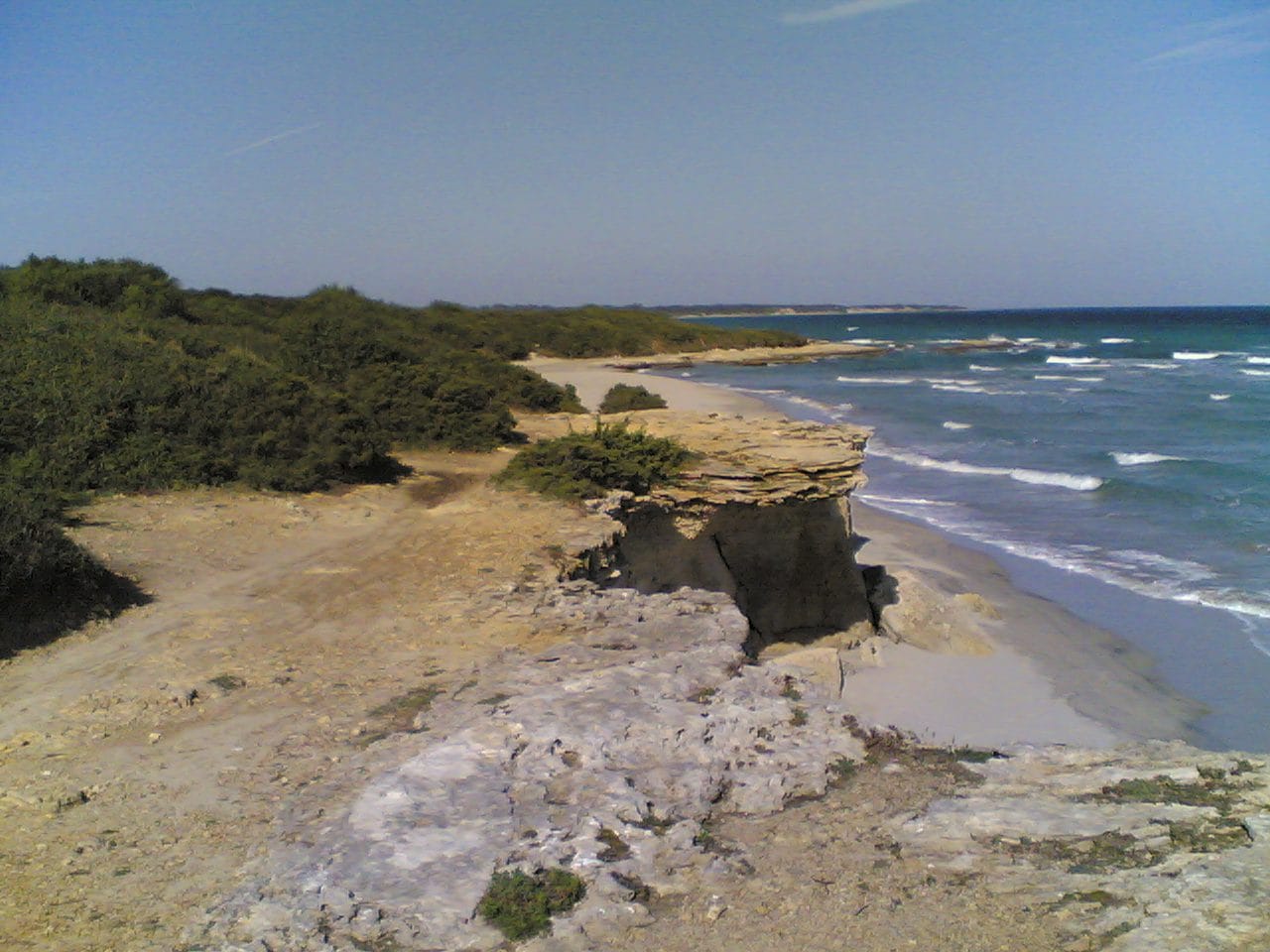 Immagine da Wikimedia.