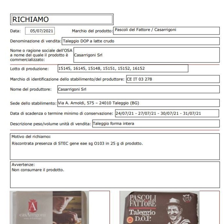 Immagine