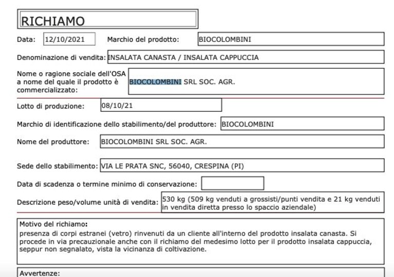 Immagine