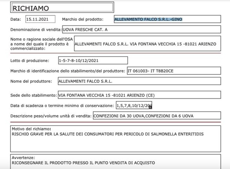 Immagine
