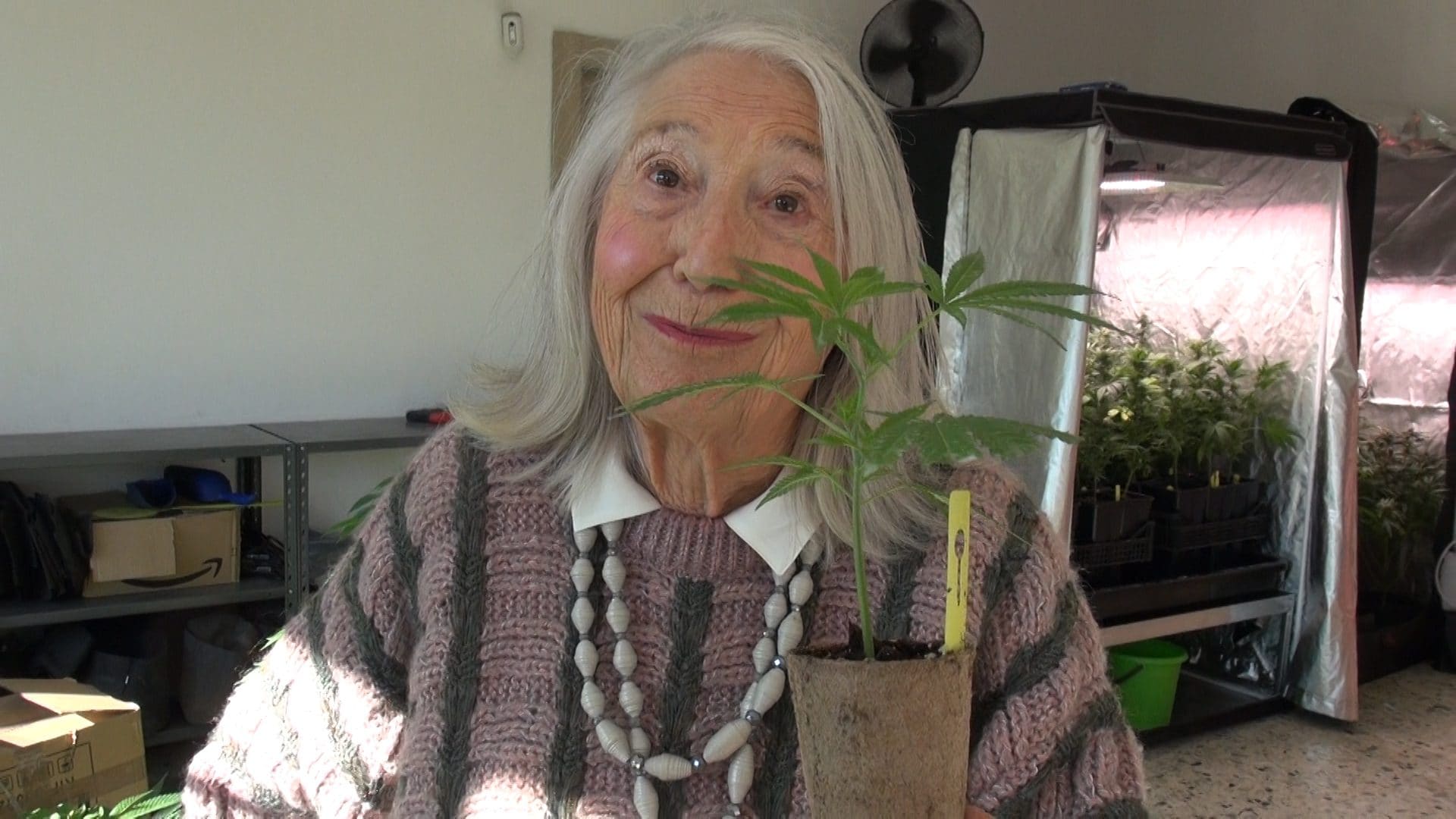 Licia Fertz: legalizzate la marijuana
