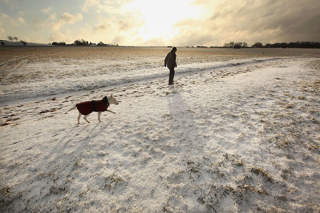 Dopo La Neve Domani Arrivano Le Gelate Le Regioni A Rischio Secondo Il 