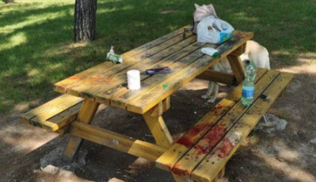 La scena che si è presentata ai soccorritori al parco