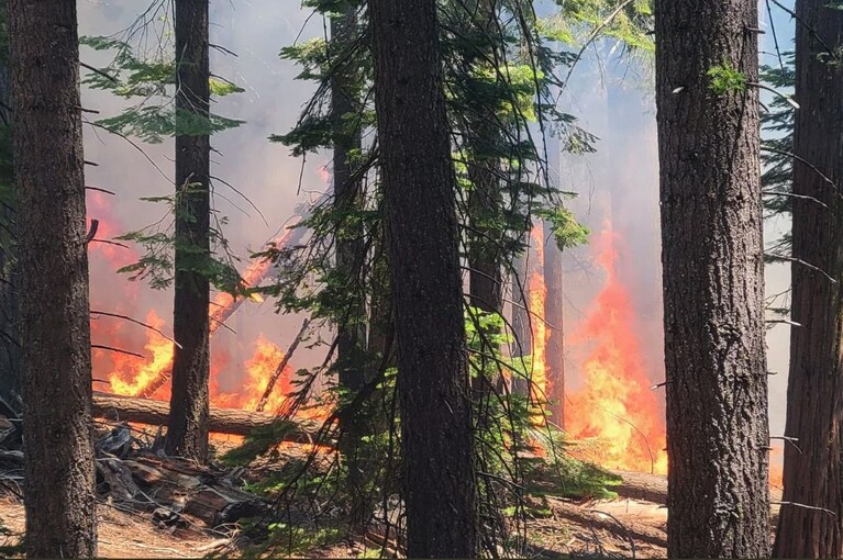 Immagine dell'incendio allo Yosemite Park (via Twitter).