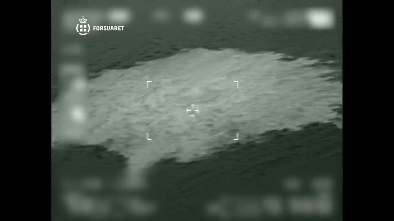 L’Italia dice sì all’estradizione dell’ex capitano ucraino accusato del sabotaggio del gasdotto Nord Stream