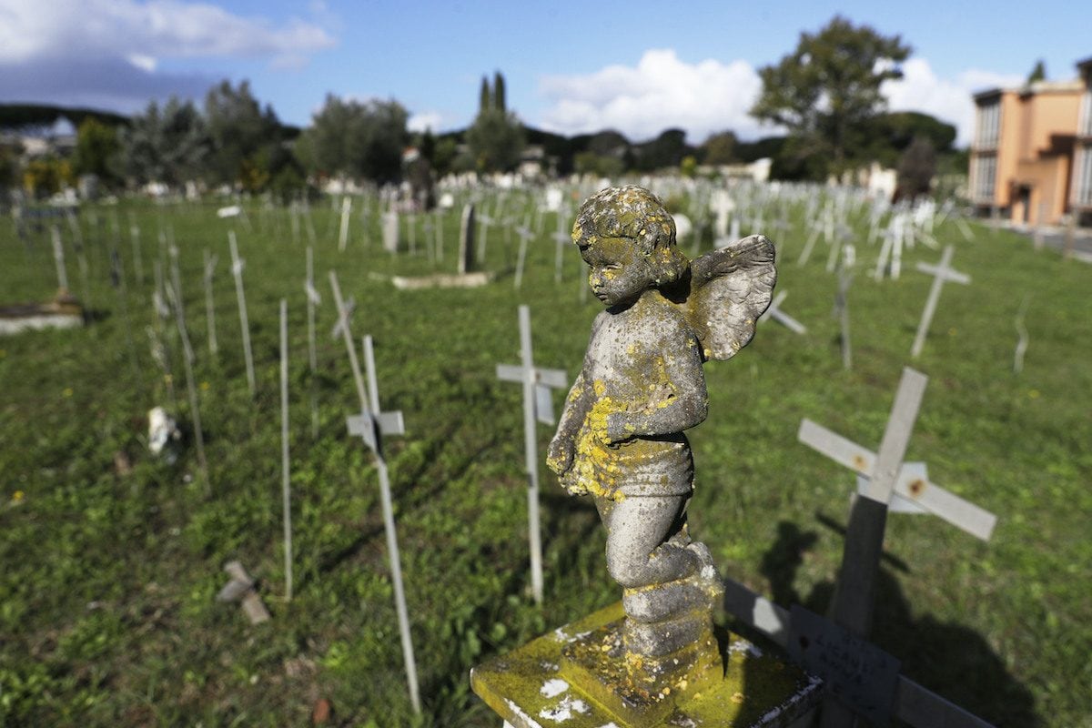Cosa Sono I Cimiteri Dei Feti E Perch La Destra Li Sta Usando Per cosa-sono-i-cimiteri-dei-feti-e-perch-la-destra-li-sta-usando-per