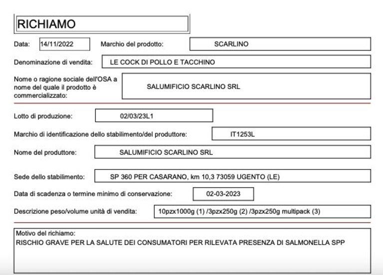 Immagine